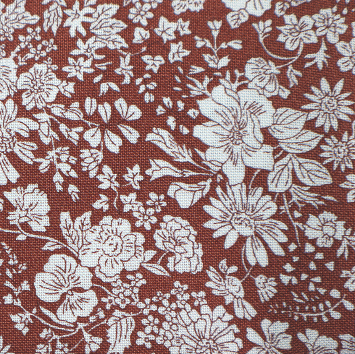 chocolate Emily Belle Liberty London