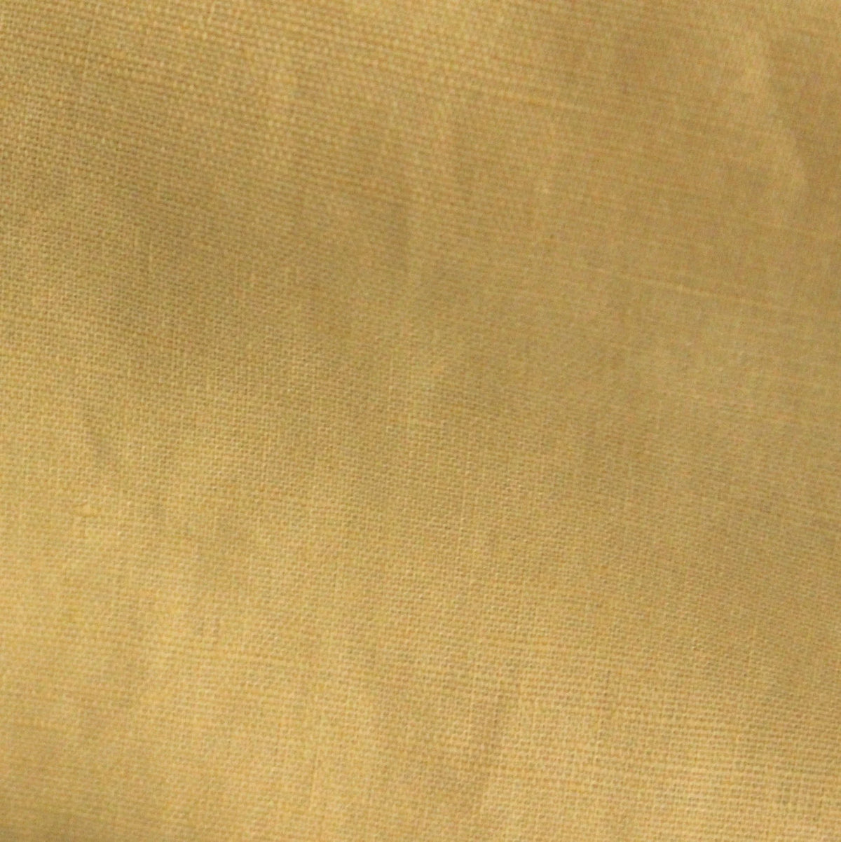 curry Canvas
